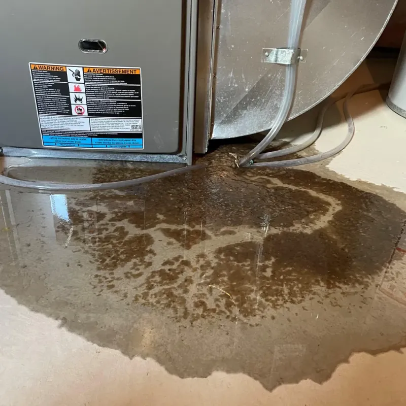 Appliance Leak Cleanup in Fussels Corner, FL