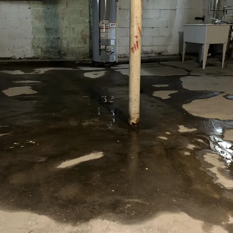 Emergency Water Extraction And Removal in Fussels Corner, FL